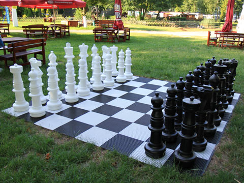 Zagraj w szachy